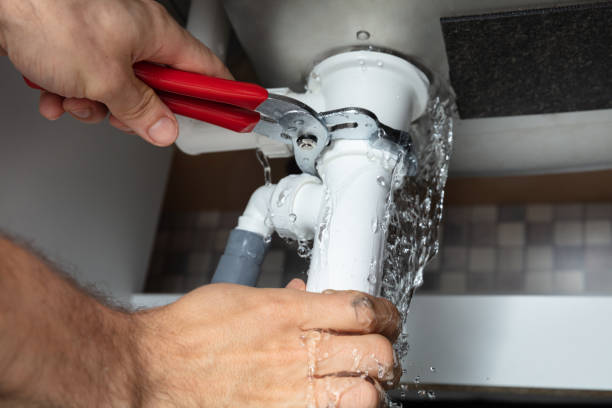 Best 24/7 water damage repair  in Hinsdale, IL