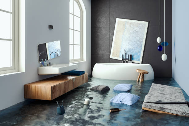 Best Professional water damage repair  in Hinsdale, IL