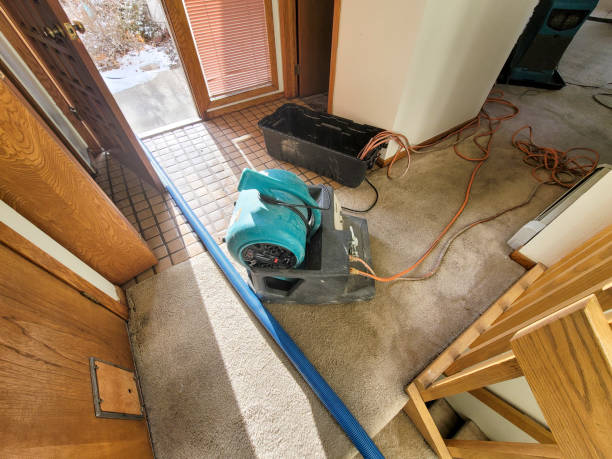  Hinsdale, IL Water damage restoration Pros