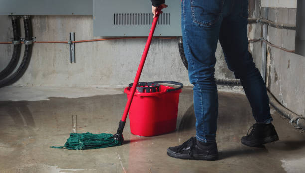 Best 24-hour water damage restoration  in Hinsdale, IL