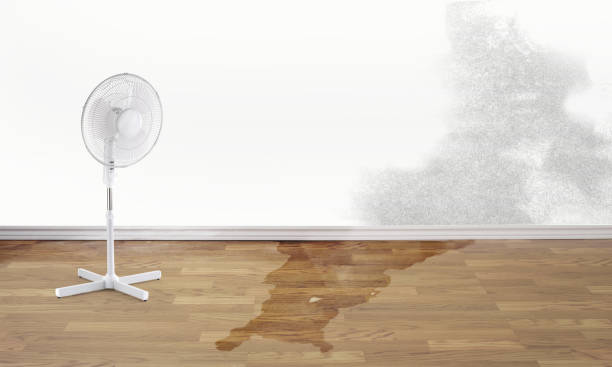 Best Sewage cleanup and water damage restoration  in Hinsdale, IL
