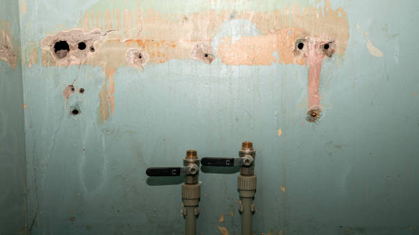 Best Basement water damage restoration  in Hinsdale, IL