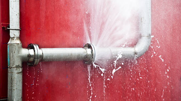 Best Carpet water damage restoration  in Hinsdale, IL